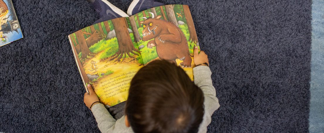 boy reading the Gruffalo